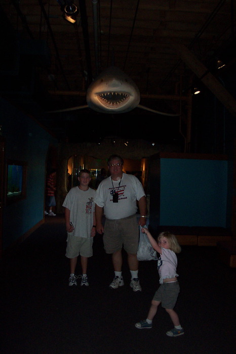 Shark!!!