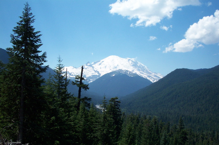 Rainier with White River