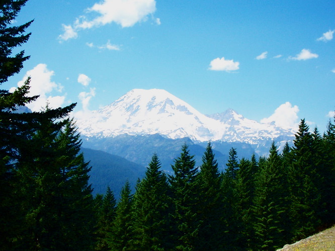 Mt. Rainier