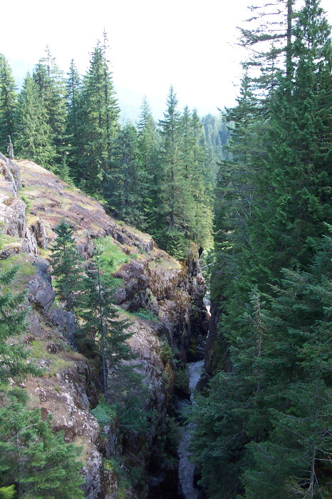 Cutting River
