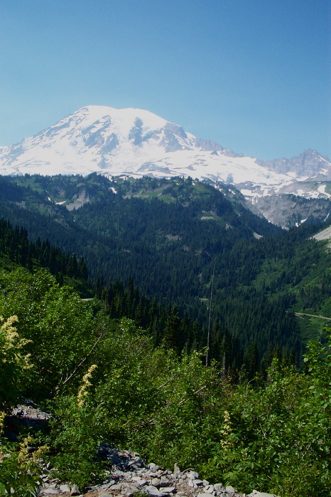 Mt. Rainier & Little Tahoma