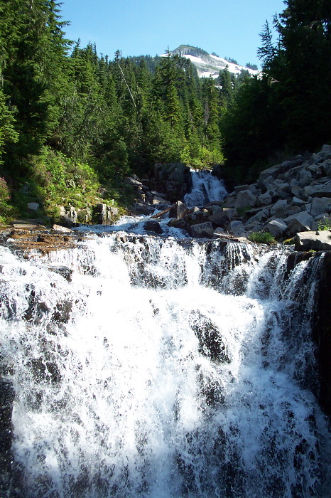 Forest Falls