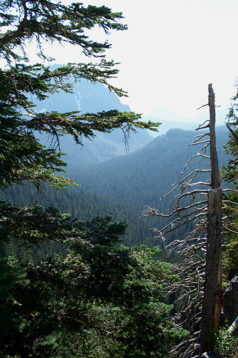 Mountain view