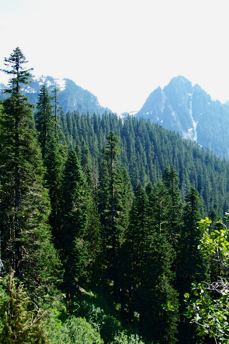 Pinnacle Peak and Glacier