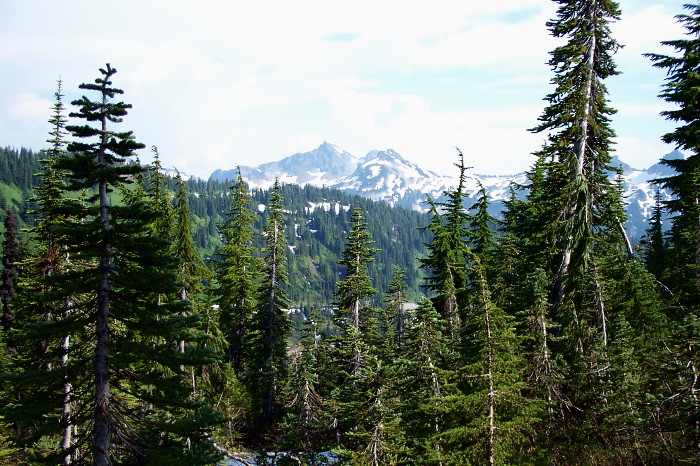 Looking South