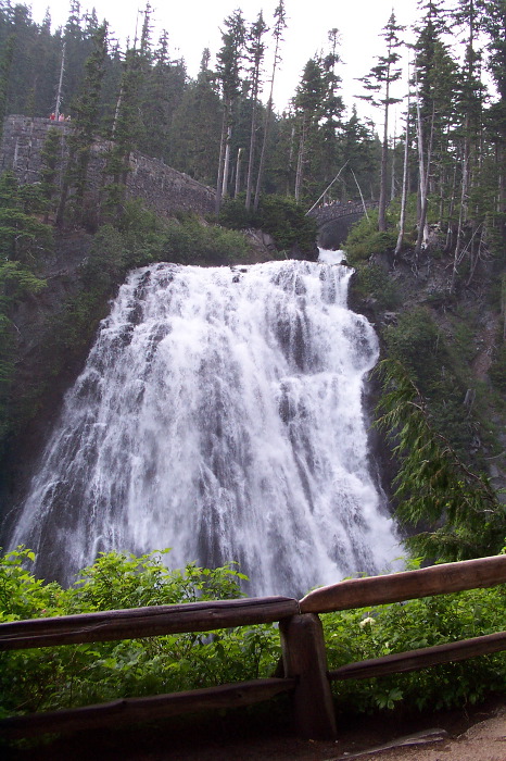 Narada Falls (looking up from the bottom)