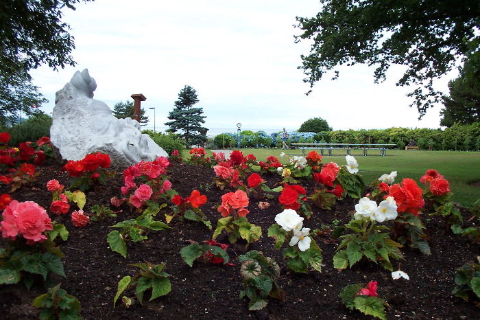 Peace Flower Gardens