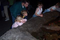 At the Aquarium