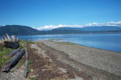 Low tide
