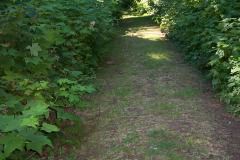 Can you see the bunny?