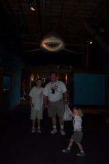 Shark!!!