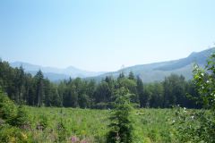 On the road to Rainier