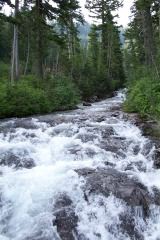 The source to the falls
