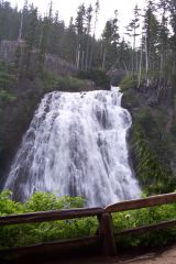 Narada Falls (looking up from the bottom)