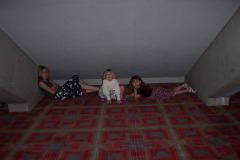 Before the concert