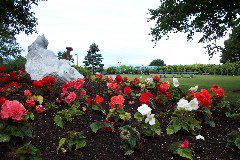 Peace Flower Gardens