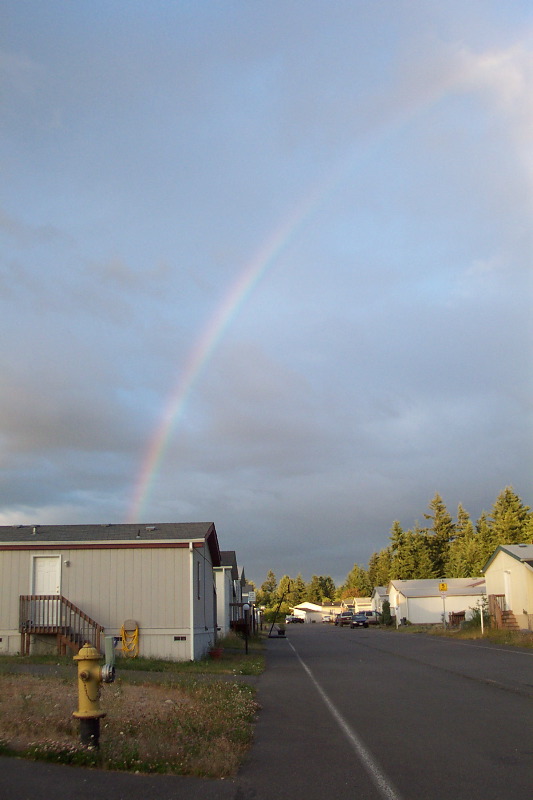 Rainbows in June