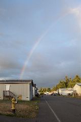 Rainbows in June