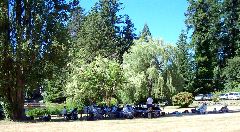 Concert in the Park