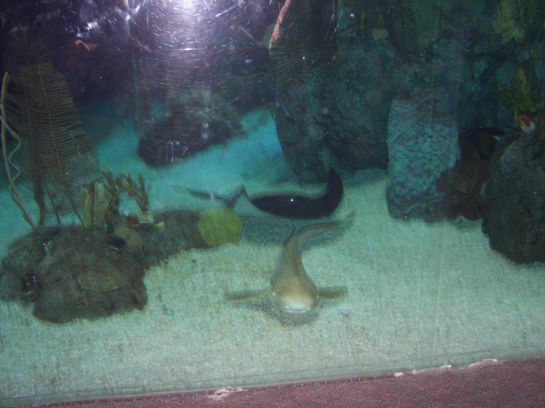 100_2026.JPG