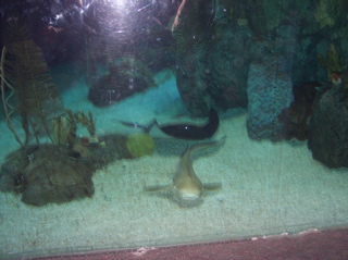 100_2026.JPG