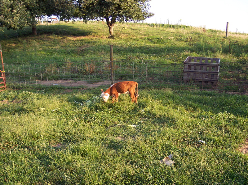 100_1429.JPG