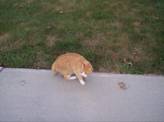 100_1321.JPG