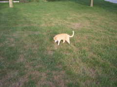 100_1324.JPG