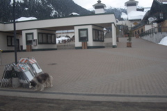 DCP_0037.JPG