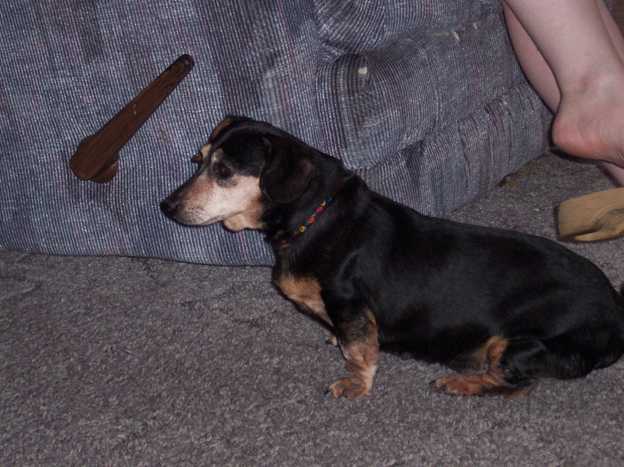Pepper