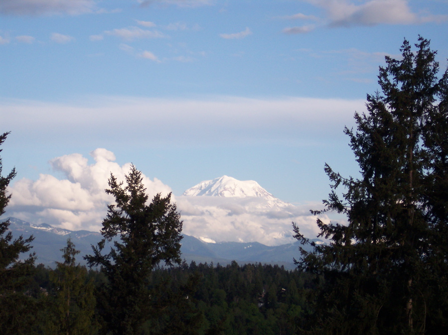 Mt. Rainier