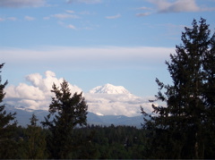 Mt. Rainier