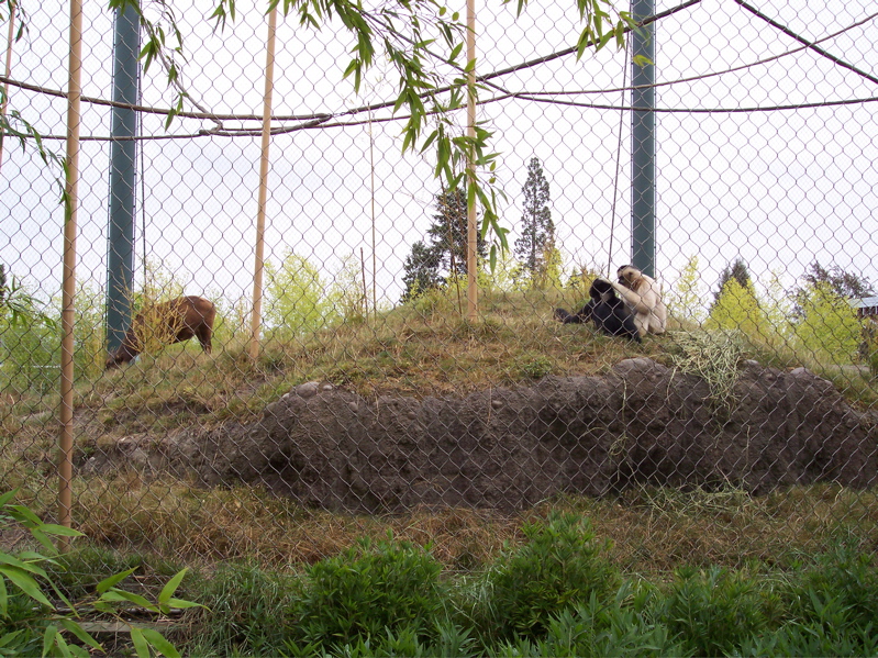 100_1475.JPG