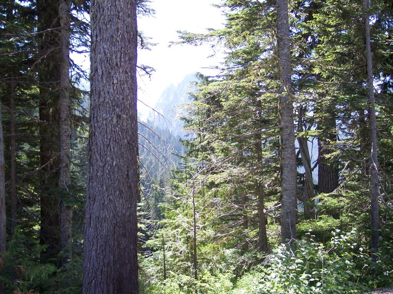 100_1515.JPG