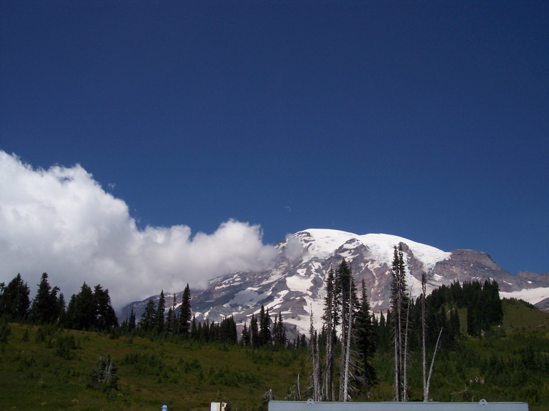 100_1518.JPG