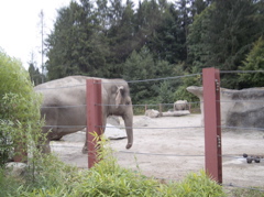 100_1471.JPG
