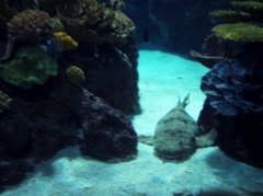 100_1483.JPG