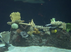 100_1487.JPG