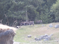 100_1498.JPG