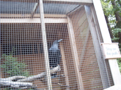 100_1500.JPG