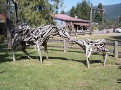 100_1506.JPG