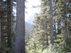 100_1515.JPG