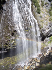 100_1516.JPG