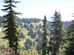 100_1519.JPG