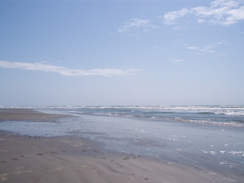100_0016.JPG