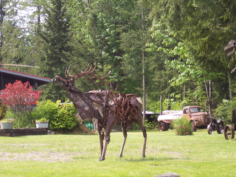 100_0103.JPG