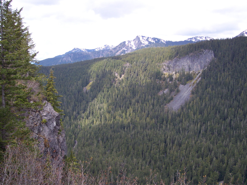100_0115.JPG