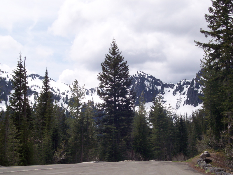 100_0126.JPG