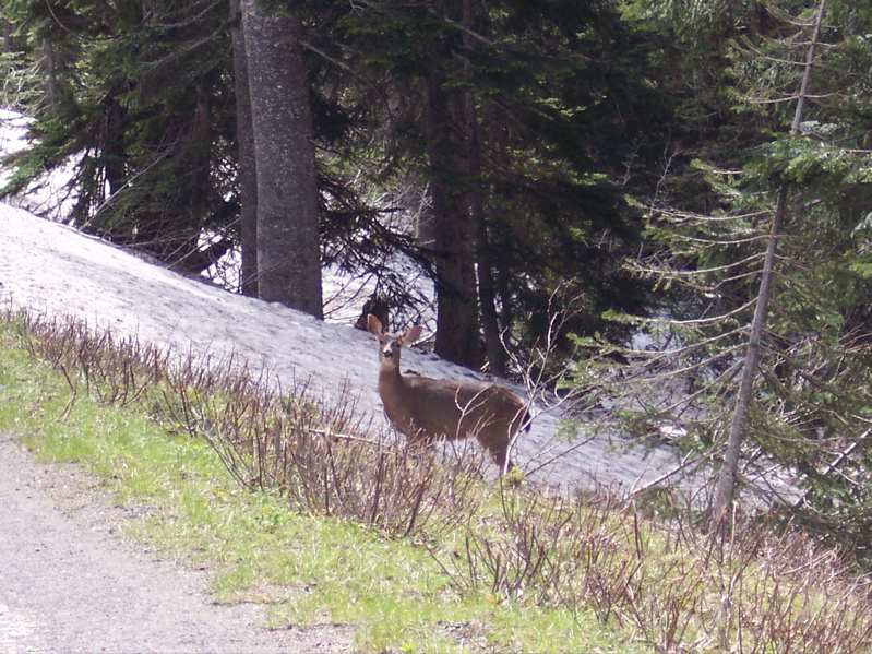 100_0128.JPG
