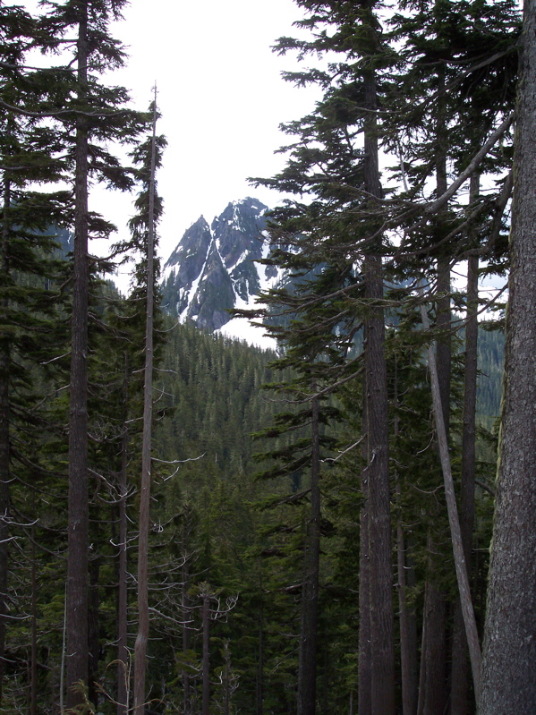 100_0130.JPG